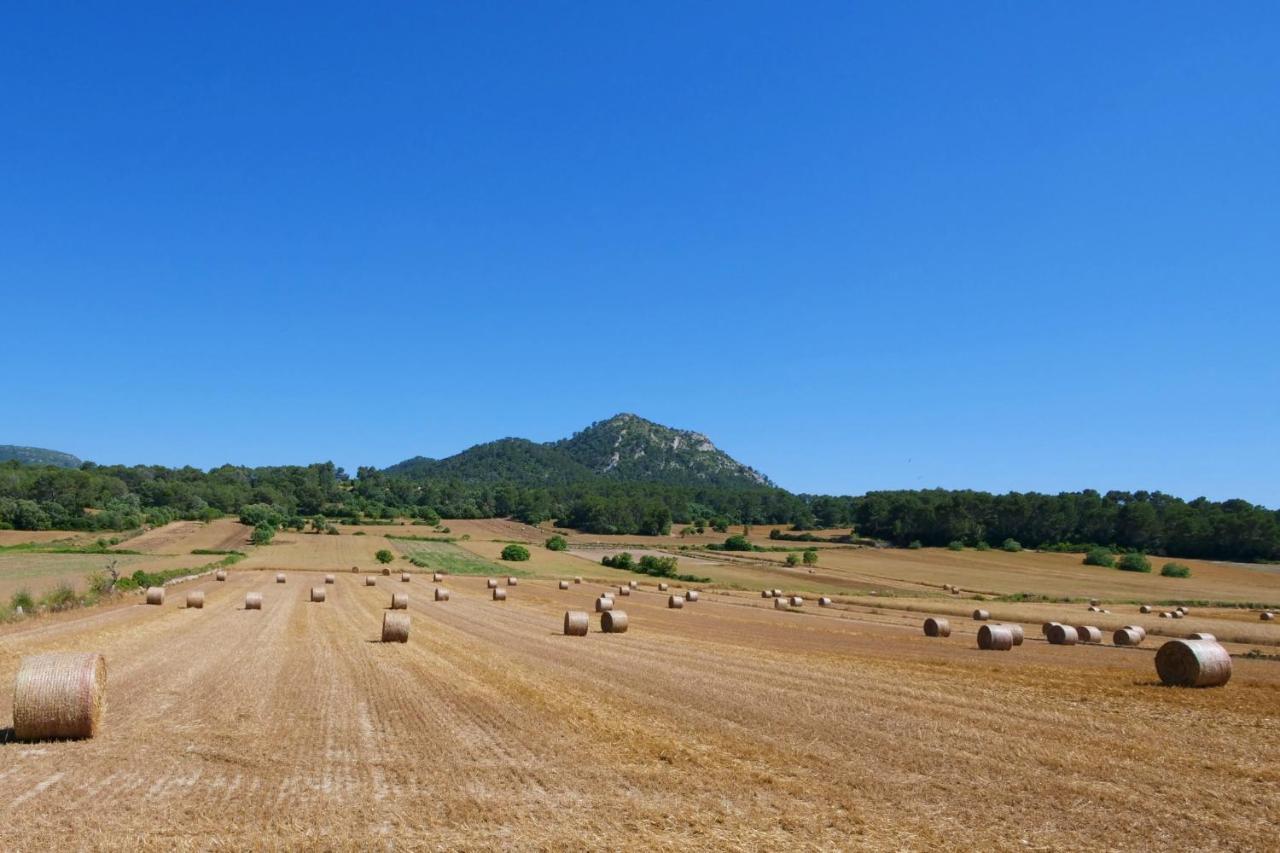 Son Fornes Algaida (Mallorca)